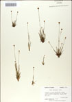 000049854-thumbnail.jpg