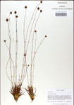 000049855-thumbnail.jpg