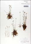 000049857-thumbnail.jpg