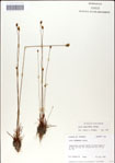 000049862-thumbnail.jpg