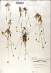 000049863-thumbnail.jpg
