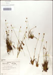 000049864-thumbnail.jpg