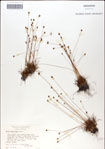 000049865-thumbnail.jpg
