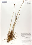 000049868-thumbnail.jpg