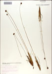 000049869-thumbnail.jpg
