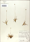 000049870-thumbnail.jpg