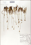 000049871-thumbnail.jpg
