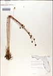 000049873-thumbnail.jpg