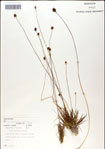 000049875-thumbnail.jpg