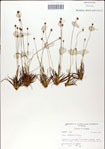 000049876-thumbnail.jpg