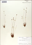 000049883-thumbnail.jpg