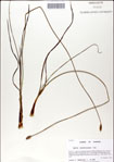 000049885-thumbnail.jpg