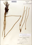 000049887-thumbnail.jpg