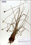 000049888-thumbnail.jpg