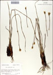 000049891-thumbnail.jpg