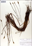 000049892-thumbnail.jpg