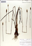 000049893-thumbnail.jpg