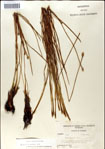 000049895-thumbnail.jpg
