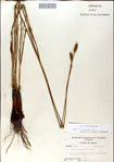 000049900-thumbnail.jpg