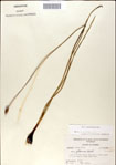 000049901-thumbnail.jpg