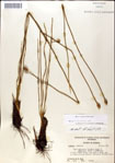 000049903-thumbnail.jpg