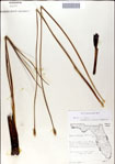 000049904-thumbnail.jpg