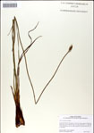 000049905-thumbnail.jpg