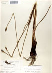 000049907-thumbnail.jpg