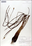 000049912-thumbnail.jpg