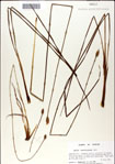 000049913-thumbnail.jpg