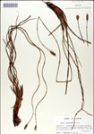 000049914-thumbnail.jpg