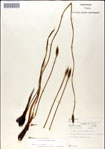 000049916-thumbnail.jpg