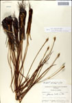 000049920-thumbnail.jpg