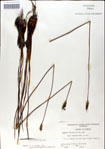 000049922-thumbnail.jpg