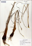 000049924-thumbnail.jpg