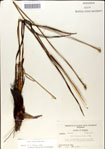 000049926-thumbnail.jpg
