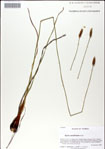 000049927-thumbnail.jpg