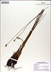 000049929-thumbnail.jpg