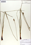 000049930-thumbnail.jpg