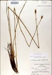 000049933-thumbnail.jpg