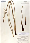 000049939-thumbnail.jpg