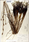 000049942-thumbnail.jpg