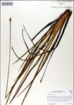 000049946-thumbnail.jpg