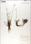 000049948-thumbnail.jpg