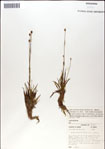 000049949-thumbnail.jpg