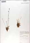 000049951-thumbnail.jpg