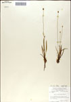 000049952-thumbnail.jpg