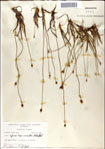 000049953-thumbnail.jpg