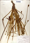 000049963-thumbnail.jpg