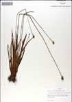000049967-thumbnail.jpg